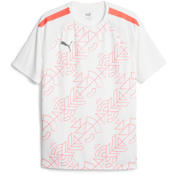 PUMA teamLIGA Graphic Trainingsshirt Herren 53 - puma...