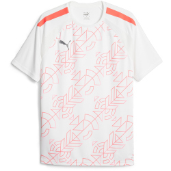PUMA teamLIGA Graphic Trainingsshirt Herren 53 - puma...