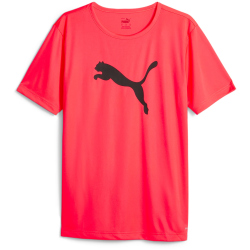 PUMA individualRISE Logo Fu&szlig;ball T-Shirt Herren 53...