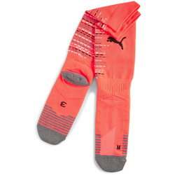 PUMA Fußballsocken Herren 53 - fire orchid/inky blue 1