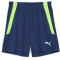 PUMA teamLIGA Training Trainingsshorts 2 Kinder 54 - persian blue/pro green 152