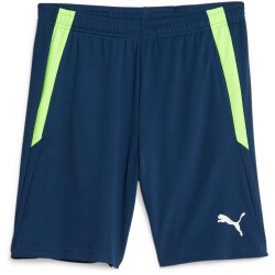 PUMA teamLIGA Training Trainingsshorts 2 54 - persian...