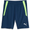 PUMA teamLIGA Training Trainingsshorts 2 54 - persian blue/pro green L