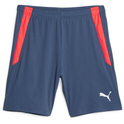 PUMA teamLIGA Training Trainingsshorts 2 53 - inky...
