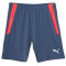PUMA teamLIGA Training Trainingsshorts 2 53 - inky blue/fire orchid XL