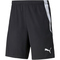 PUMA teamLIGA Training Trainingsshorts 2 03 - puma black/puma white XXL