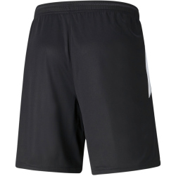 PUMA teamLIGA Training Trainingsshorts 2 03 - puma black/puma white 3XL