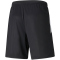 PUMA teamLIGA Training Trainingsshorts 2 03 - puma black/puma white 3XL