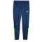 PUMA teamLIGA Trainingsshose 54 - persian blue/pro green S