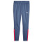 PUMA teamLIGA Trainingsshose 53 - inky blue/fire orchid L