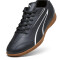 PUMA Vitoria IT Hallen-Fußballschuhe Herren 01 - PUMA black/PUMA white 39