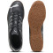 PUMA Attacanto IT Hallen-Fußballschuhe Herren 01 - PUMA black/silver mist 42