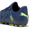 PUMA Future Play MG Multi-Ground Fußballschuhe Herren 03 - persian blue/pro green 42.5