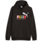 PUMA Essentials+ Multicolor Fleece Hoodie Herren