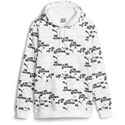PUMA Essentials+ Logo Lab Print Fleece Hoodie Herren