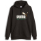 PUMA No. 1 Logo Celebration Fleece Hoodie Herren
