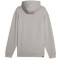 PUMA RAD/CAL DK Hoodie Herren