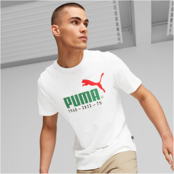 PUMA No. 1 Logo Celebration T-Shirt Herren 02 - puma white 3XL