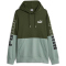 PUMA Power Colorblock Fleece Hoodie Herren 31 - myrtle L