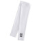 PUMA Hoops Team Arm-Sleeves 02 - PUMA white S