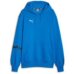 PUMA Hoops Team Hoodie Herren 05 - electric blue lemonade S