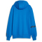 PUMA Hoops Team Hoodie Herren 05 - electric blue lemonade S