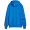 PUMA Hoops Team Hoodie Herren 05 - electric blue lemonade 4XL