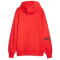 PUMA Hoops Team Hoodie Herren 04 - PUMA red 4XL