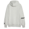 PUMA Hoops Team Hoodie Herren 03 - light gray heather L