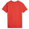PUMA Hoops Team Drycell Basketball T-Shirt Herren 04 - PUMA red 3XL