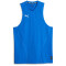 PUMA Hoops Team Drycell Basketball Tanktop Herren 07 - electric blue lemonade S