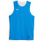 PUMA Hoops Team Reverse Practice Basketballtrikot Herren 05 - electric blue lemonade S