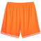 PUMA Hoops Team Game Basketballshorts Herren 08 - golden poppy XXL