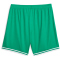 PUMA Hoops Team Game Basketballshorts Herren 06 - pepper green XXL