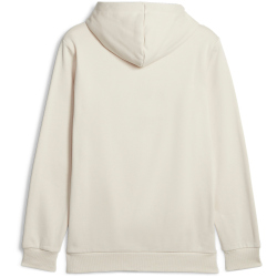 PUMA Ess+ Metallic 2 Col Big Logo Fleece-Hoodie Herren 87 - alpine snow S