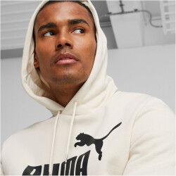 PUMA Essentials Big Logo Fleece-Hoodie Herren 87 - alpine...