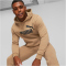 PUMA Essentials Big Logo Fleece-Hoodie Herren 86 - toasted S