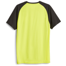 PUMA Fit Triblend Ultrabreathe Trainingsshirt Herren
