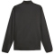 PUMA Fit PWRFleece Winter 1/4-Zip Trainings-Top Herren