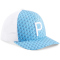 PUMA Palms Trucker Cap Herren