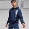 PUMA Handball Hoodie Herren 06 - persian blue S