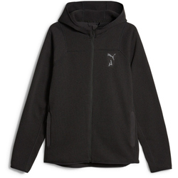 PUMA Seasons Sweater Fleece Kapuzenjacke Herren 01 - puma...
