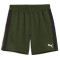 PUMA Train Cloudspun 7" Shorts Herren 31 - myrtle/puma black S