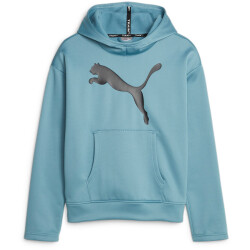 PUMA Train Favorite PWRFLEECE Hoodie Damen 38 - bold blue L