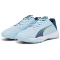 PUMA Accelerate Handballschuhe Kinder 01 - silver sky/persian blue/puma white 33