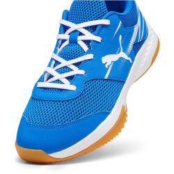 PUMA Varion II Indoor Hallenschuhe Kinder 03 - puma team...