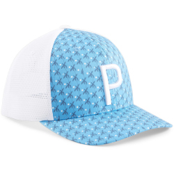 PUMA Palms Trucker Cap Herren 02 - regal blue/navy blazer