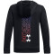 UNDER ARMOUR Fleece Graphic Hoodie Jungen