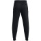 UNDER ARMOUR Rival Fleece Graphic Jogginghose Herren