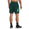 UNDER ARMOUR Vanish Woven 6" Graphic Shorts Herren